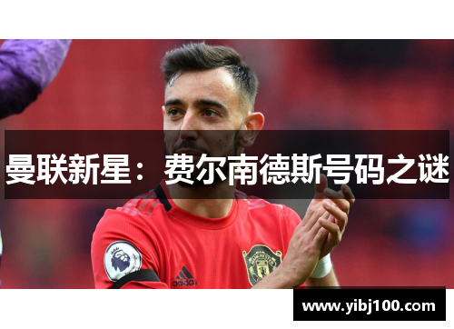 曼联新星：费尔南德斯号码之谜